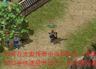 ڴʹѡְҵȡװBOSSսȫ