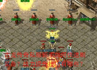 古龙传奇私服新手如何快速刷装备?战力提升技巧有哪些? 古龙传奇私服新手如何快速刷装备?战力提升技巧有哪些?