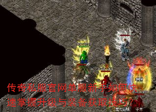 传奇私服官网单服新手如何快速掌握升级与装备获取技巧? 传奇私服官网单服新手如何快速掌握升级与装备获取技巧?