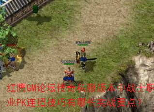 ӥGM̳˽汾սʿְҵPKмЩʵսҪ㣿