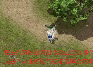 复古传奇私服英雄版合击组合哪个厉害?职业搭配与技能选择全攻略 复古传奇私服英雄版合击组合哪个厉害?职业搭配与技能选择全攻略