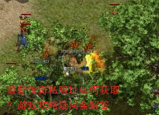 最新传奇私服址如何获取?游戏攻略疑问全解答 最新传奇私服址如何获取?游戏攻略疑问全解答