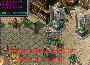 变态版热血传奇私服耐玩版新手如何快速提升战力? 变态版热血传奇私服耐玩版新手如何快速提升战力?