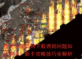 传奇私服官网下载遇到问题如何解决?新手攻略技巧全解析 传奇私服官网下载遇到问题如何解决?新手攻略技巧全解析