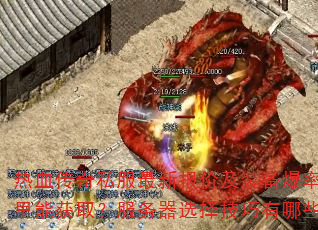 热血传奇私服最新报价及装备爆率图哪里能获取?服务器选择技巧有哪些? 热血传奇私服最新报价及装备爆率图哪里能获取?服务器选择技巧有哪些?