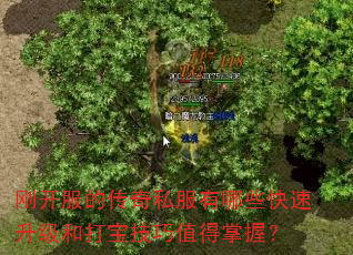 刚开服的传奇私服有哪些快速升级和打宝技巧值得掌握? 刚开服的传奇私服有哪些快速升级和打宝技巧值得掌握?