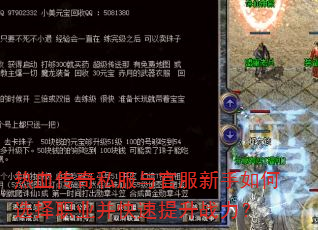 热血传奇私服与官服新手如何选择职业并快速提升战力? 热血传奇私服与官服新手如何选择职业并快速提升战力?