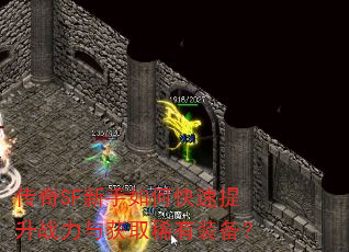 传奇SF新手如何快速提升战力与获取稀有装备? 传奇SF新手如何快速提升战力与获取稀有装备?