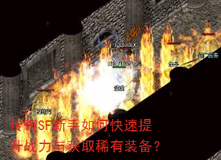 传奇SF新手如何快速提升战力与获取稀有装备? 传奇SF新手如何快速提升战力与获取稀有装备?