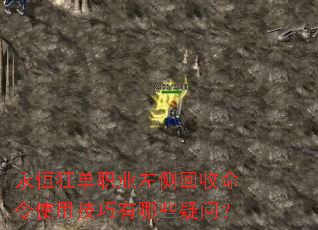 永恒狂单职业左侧回收命令使用技巧有哪些疑问? 永恒狂单职业左侧回收命令使用技巧有哪些疑问?
