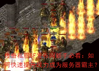 传奇私服SF发布网新手必看:如何快速提升战力成为服务器霸主? 传奇私服SF发布网新手必看:如何快速提升战力成为服务器霸主?