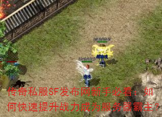 传奇私服SF发布网新手必看:如何快速提升战力成为服务器霸主? 传奇私服SF发布网新手必看:如何快速提升战力成为服务器霸主?