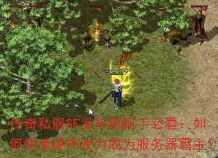 传奇私服SF发布网新手必看:如何快速提升战力成为服务器霸主? 传奇私服SF发布网新手必看:如何快速提升战力成为服务器霸主?