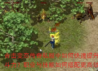 合击变态传奇私服中如何快速提升战斗力?职业与技能如何搭配更高效? 合击变态传奇私服中如何快速提升战斗力?职业与技能如何搭配更高效?