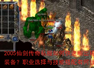 2005ɽ˽οˢϡװְҵѡ뼼ܴкμɣ