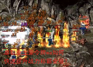 单职业土豪令牌wa如何快速提升战力称霸全服? 单职业土豪令牌wa如何快速提升战力称霸全服?