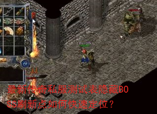 ´˽ԱBOSSˢµοٶλ