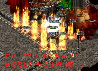 最新单职业私服传奇游戏如何选择及快速升级技巧有哪些? 最新单职业私服传奇游戏如何选择及快速升级技巧有哪些?