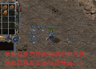 ְҵ̬˽οˢȡϡװս