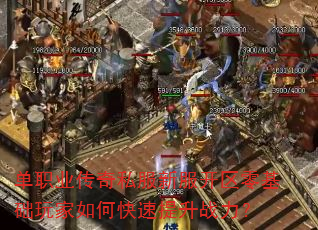 单职业传奇私服新服开区零基础玩家如何快速提升战力? 单职业传奇私服新服开区零基础玩家如何快速提升战力?