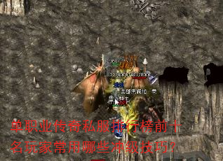 单职业传奇私服排行榜前十名玩家常用哪些冲级技巧? 单职业传奇私服排行榜前十名玩家常用哪些冲级技巧?