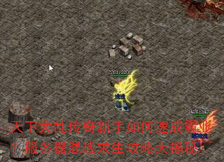 天下大乱传奇新手如何速成霸业?服务器混战求生攻略大揭秘 天下大乱传奇新手如何速成霸业?服务器混战求生攻略大揭秘