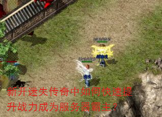 新开迷失传奇中如何快速提升战力成为服务器霸主? 新开迷失传奇中如何快速提升战力成为服务器霸主?