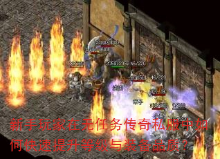 新手玩家在无任务传奇私服中如何快速提升等级与装备品质? 新手玩家在无任务传奇私服中如何快速提升等级与装备品质?