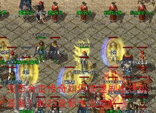 ̬ϻοˢռװ2025רҵ