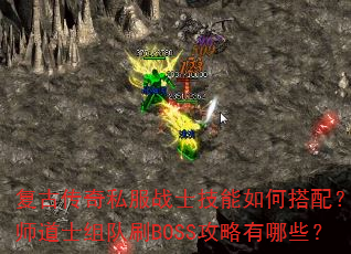 Ŵ˽սʿδ䣿ʦʿˢBOSSЩ