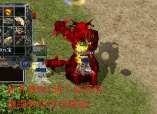 新开传奇1新手如何快速提升战力与等级? 新开传奇1新手如何快速提升战力与等级?