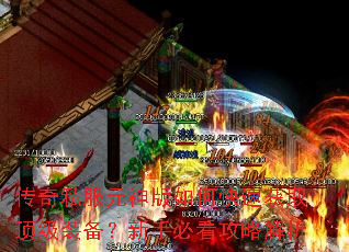 传奇私服元神版如何快速获取顶级装备?新手必看攻略解析 传奇私服元神版如何快速获取顶级装备?新手必看攻略解析