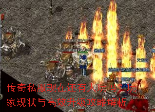 传奇私服现在还有人玩吗?玩家现状与高效升级攻略解析 传奇私服现在还有人玩吗?玩家现状与高效升级攻略解析