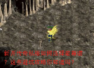 新开传奇私服如何选择最靠谱?这些避坑攻略你知道吗? 新开传奇私服如何选择最靠谱?这些避坑攻略你知道吗?