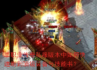 ְҵ˽汾οˢװ뼼飿