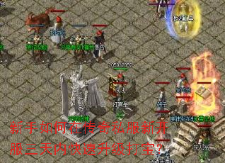 ��������ڴ���˽���¿��������ڿ��������򱦣�