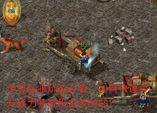 ����˽����ұؿ�����ο�������ս�������ɻ���BOSS��