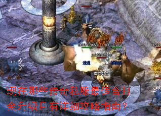 ������Щ����˽�����ʺϴ������������ϸ����ָ�ϣ�