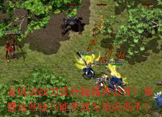 �����ս�������ؼ��󹫿���������Щ�����ܷ��Ϊ������֣�