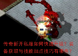 �����¿�˽����ο���������װ����ȡ�뼼�ܼӵ㼼������Щ��