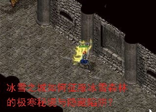 ��ѩ֮�����������ѩɭ�ֵļ����ؾ����������壿