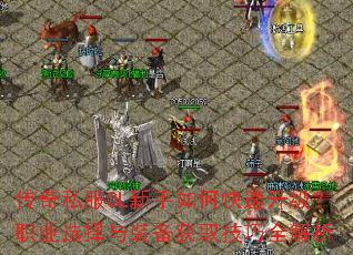 ����˽��OL������ο���������ְҵѡ����װ����ȡ����ȫ����