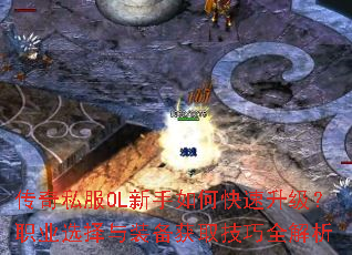 ����˽��OL������ο���������ְҵѡ����װ����ȡ����ȫ����