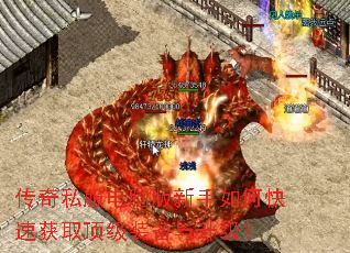 ����˽�����԰�������ο��ٻ�ȡ����װ����������