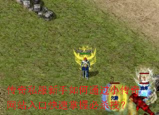 ����˽���������ͨ��С������վ��ڿ������ձ�ɱ����