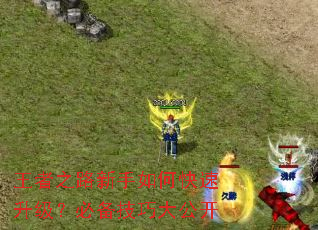 王者之路新手如何快速升级?必备技巧大公开 王者之路新手如何快速升级?必备技巧大公开