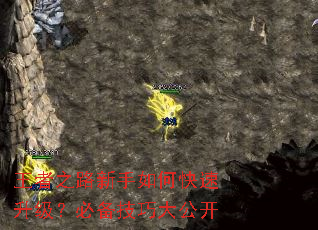 王者之路新手如何快速升级?必备技巧大公开 王者之路新手如何快速升级?必备技巧大公开