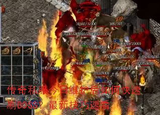 ����˽������ά������ο���ˢBOSS�����¼����ٿ�