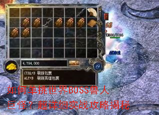 ��ε�������BOSS���˾޹֣�����ϸʵս���Խ���