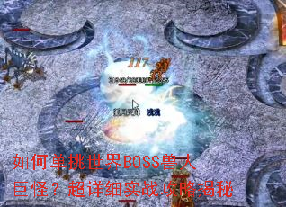 ��ε�������BOSS���˾޹֣�����ϸʵս���Խ���